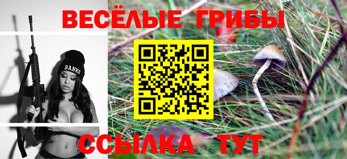 Галлюциногенные грибы GOLDEN TEACHER  Вход с VPN  Лесосибирск 